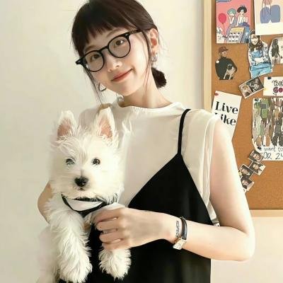 追凶 第一季海报