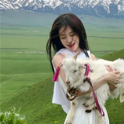 亚历克西纳之谜海报