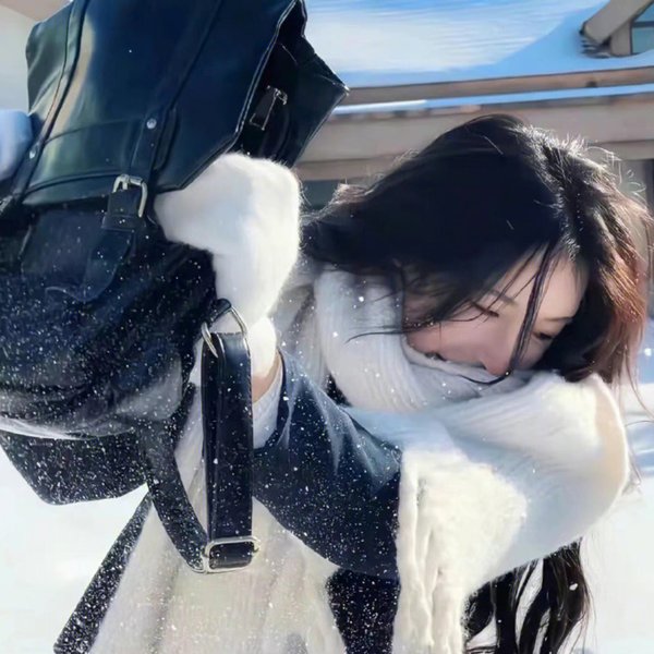 一个城市的决定海报