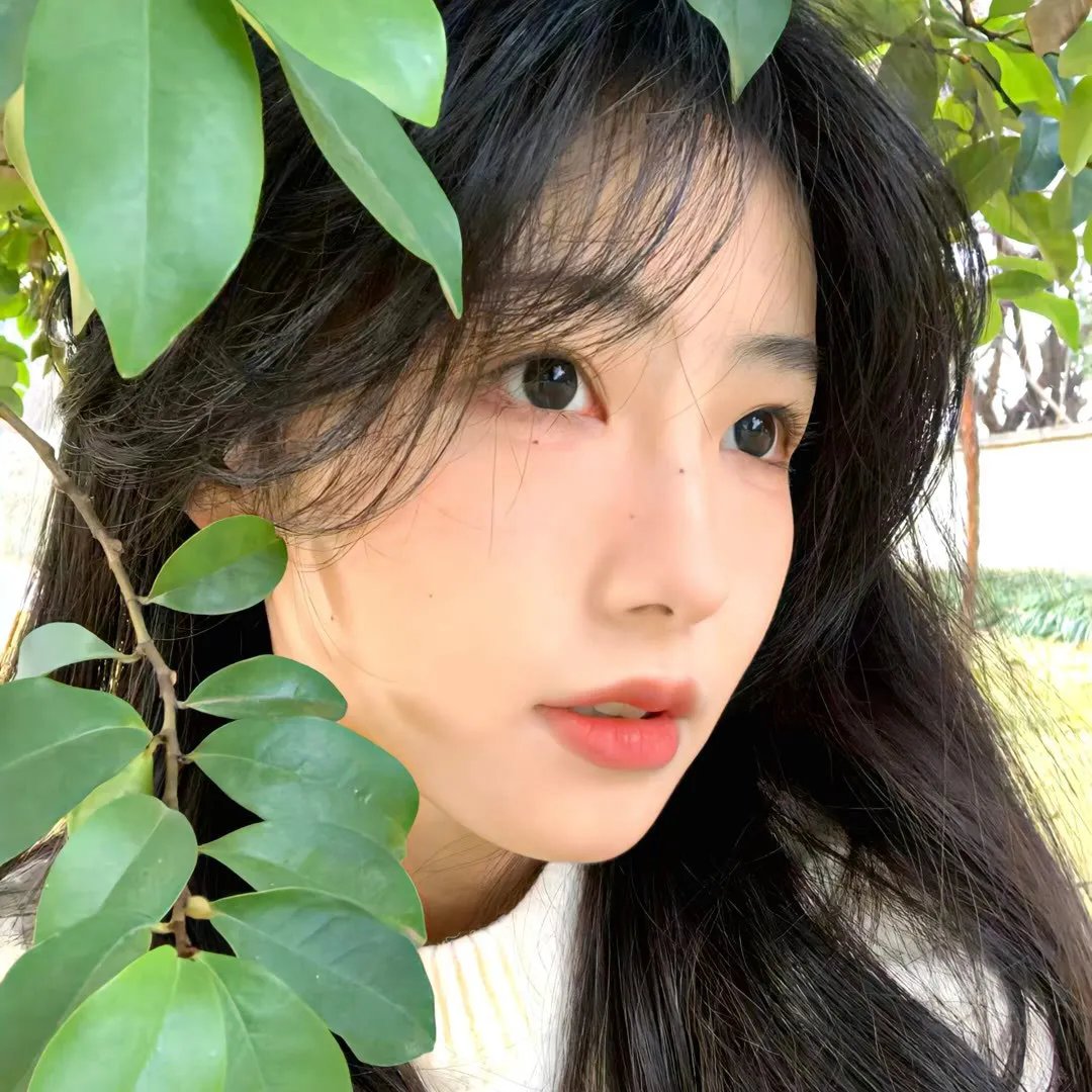 生生相息海报